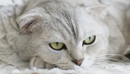 开云体育 kaiyun sports-绝地求生 选手训练强度持续加大，绝地求生训练手雷在哪里