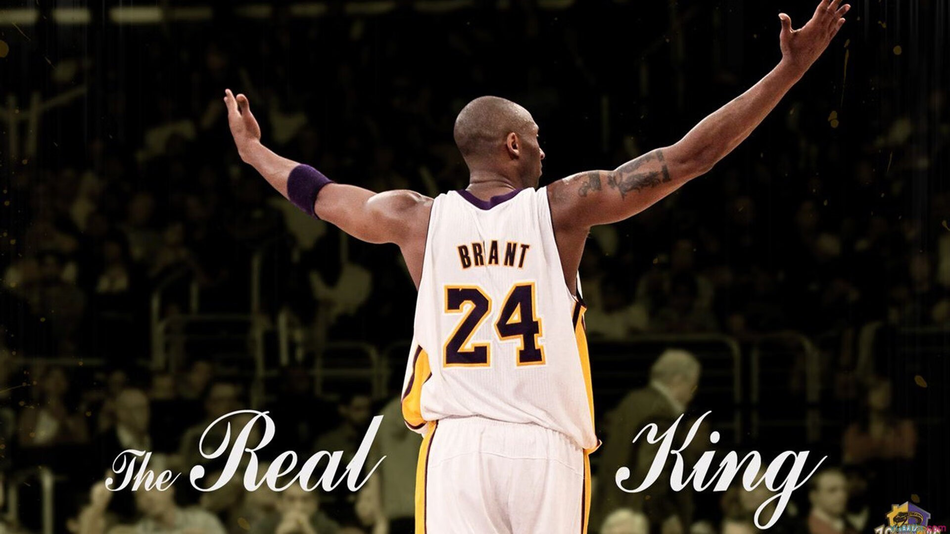 _爵士攻防两端都表现出色，排名持续上升_，爵士亮相动作